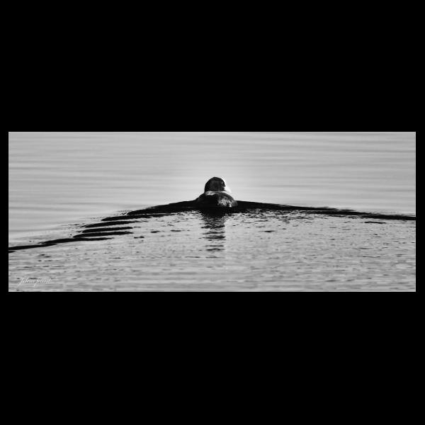 PHOTO84, CLUB, 84 , LUBERON